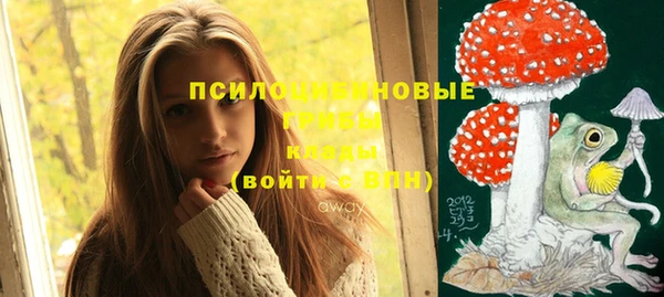 MESCALINE Покров
