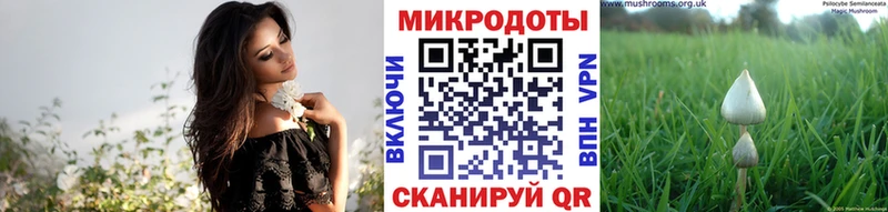 omg ONION  купить  цена  Байкальск  Псилоцибиновые грибы MAGIC MUSHROOMS 